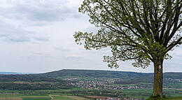 Vorschaubild