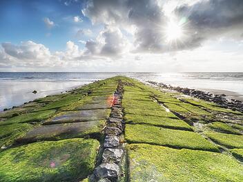 Meer, Strand und grüne Weiten - Norderney ist das perfekte Insel-Ziel