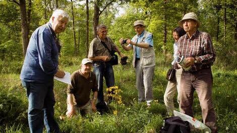 Die Arbeit im Bund Naturschutz ist vielfältig, natürlich widmet der Verband ein besonderes Augenmerk auf die Botanik im Landkreis und ist immer dabei, die Bestände zu überprüfen.. Foto: Walter Hartmann