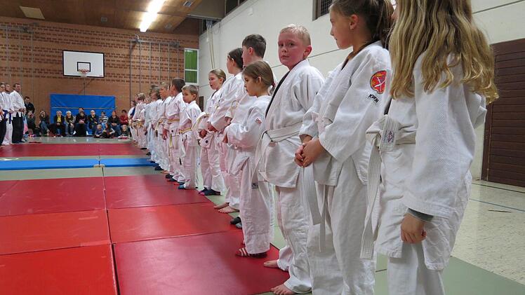 Die Judo-Abteilung des TSV Euerdorf hat keine Nachwuchssorgen - hier bei der Aufstellung vor dem Kampf.  Foto: Doris Bauer