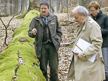 Die Systematik der Besiedlung von Totholz erklärte der Leiter des Forstbetriebs Ebrach, Ulrich Mergner, beim Waldrundgang. Dabei wurde dem Abgeordneten Hans-Jürgen Fahn (von links) deutlich, dass eine Waldbewirtschaftung, wie sie Mergner favorisiert, personalintensiv ist. Foto: sw
