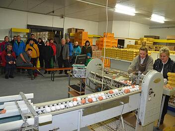 Hoffest in Eichenbühl heißt für die kleinen und großen Besucher auch mitzuerleben, wie Hühnereier sortiert und verpackt werden. Foto: Hofmann