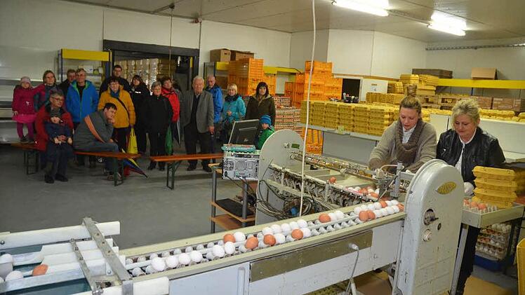Hoffest in Eichenbühl heißt für die kleinen und großen Besucher auch mitzuerleben, wie Hühnereier sortiert und verpackt werden. Foto: Hofmann