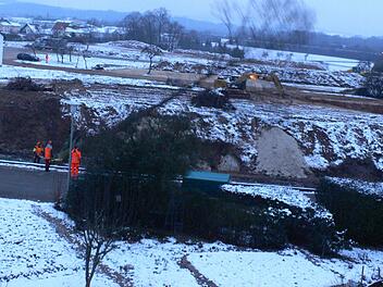 Blick aus dem Fenster, Mittwoch (21.1.16), 8 Uhr morgens: Die letzte Eiche muss weichen.Foto: Lucia de Figueiredo-Huth