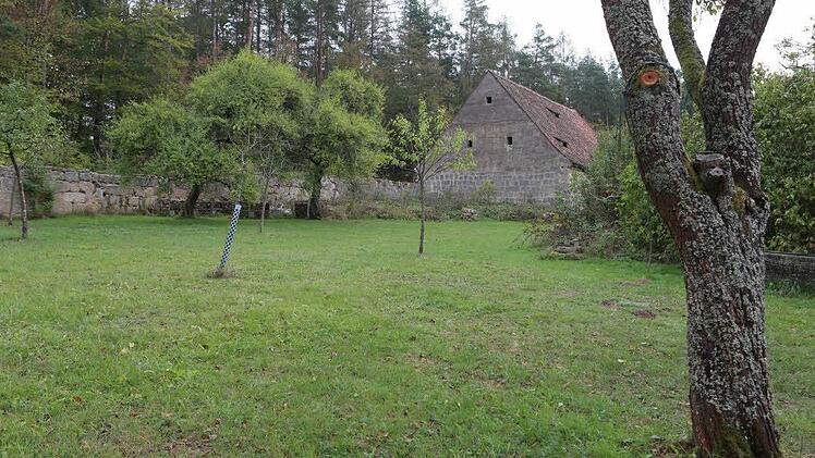 Hier ist Raum zum Spielen und Herumtollen.Foto: Barbara Herbst