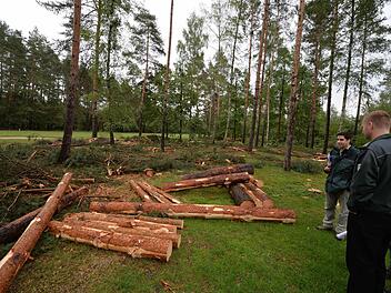 Umstrittene Holzernte im Bamberger Osten: Der "Bundesforst" hat 300 Festmeter Holz rund um den Bamberger Golfplatz einschlagen lassen.   Fotos: Ronald Rinklef