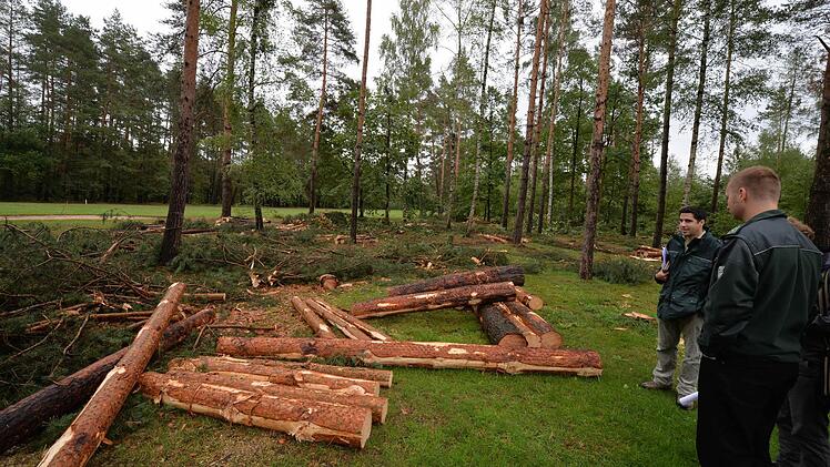 Umstrittene Holzernte im Bamberger Osten: Der "Bundesforst" hat 300 Festmeter Holz rund um den Bamberger Golfplatz einschlagen lassen.   Fotos: Ronald Rinklef