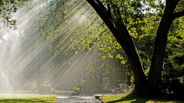 Park in Hof