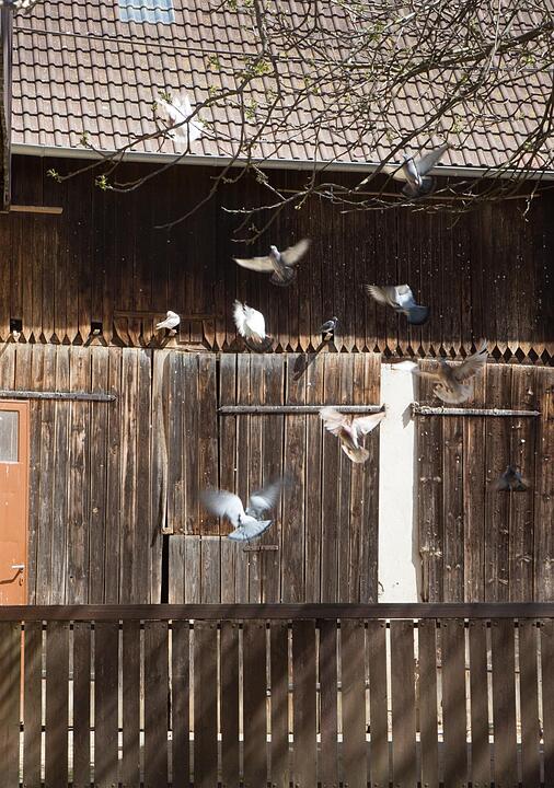Kleukheim; Lkr. Lichtenfels; Foto: Barbara Herbst