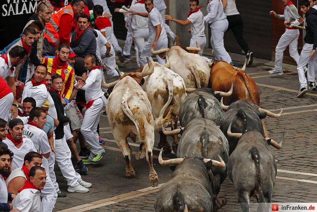 Stierhatz in Pamplona