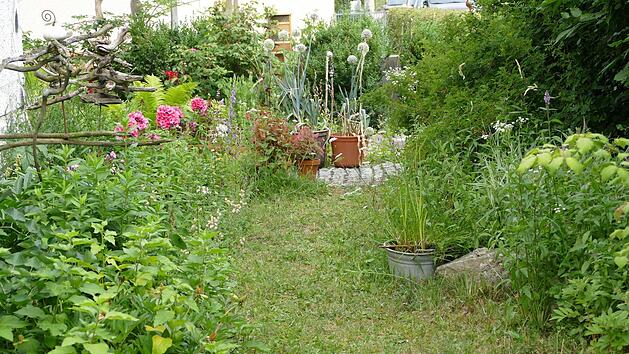 Im Garten von Katinka Uebel Foto: Sonja Schr&uuml;fer