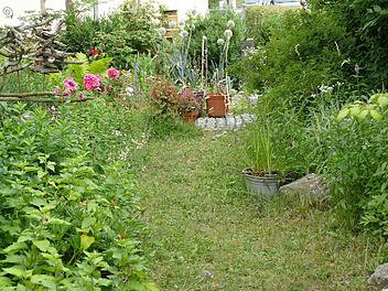 Im Garten von Katinka Uebel Foto: Sonja Schr&uuml;fer