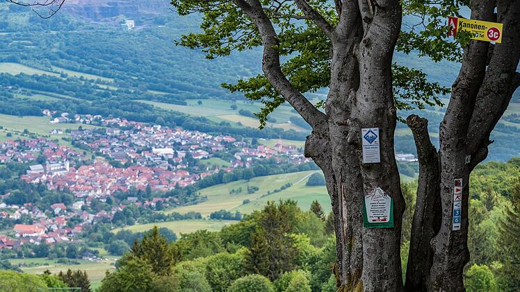 Hoch über Bischofsheim führt die Tour am Kreuzberghang entlang. Foto: Jürgen Hüfner