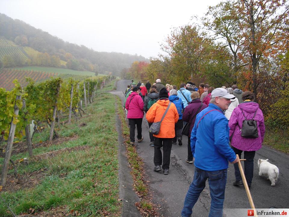 ABO Plus Bus-Wander-Tour Handthal_21.10.15