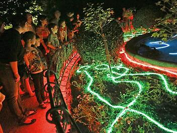 Lichtinstallationen im Hofgarten (hier der Herzog-Alfred-Brunnen 2013) gehören seit 2005 zur "Nacht der Kontraste". Foto: CT-Archiv/Barbara Herbst