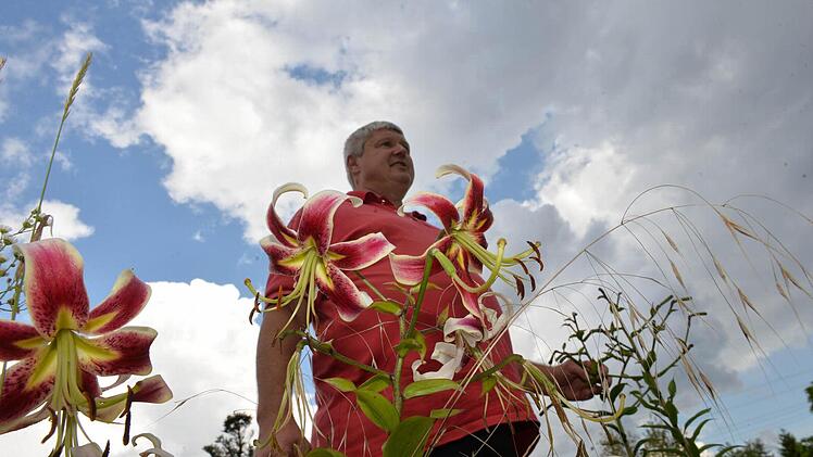 Stefan Strasser in seiner Lilien-Arche. Foto: Ronald Rinklef