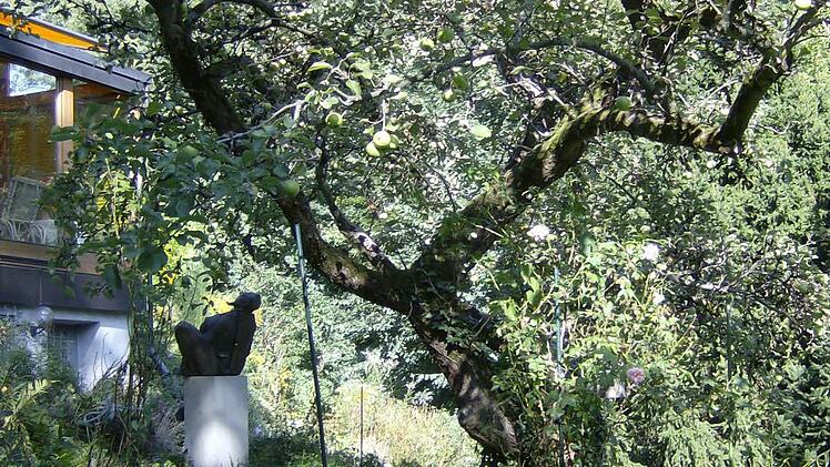 Im Garten der Familie Trautner in Gräfenberg. Foto: Petra Malbrich