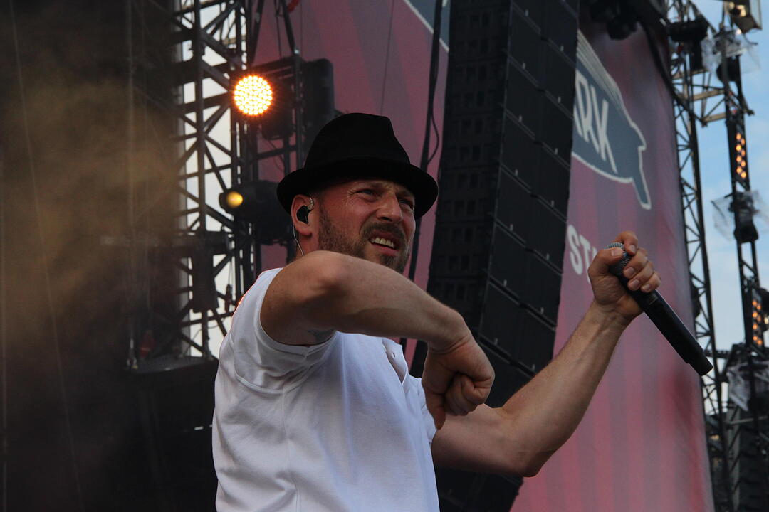 Beatsteaks bei Rock im Park 2017