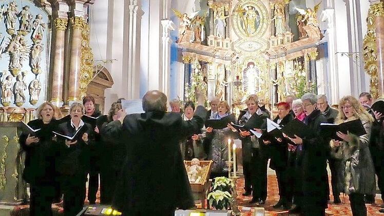 Der Kirchenchor Hammelburg ist mit Solisten am Sonntag, 7. Oktober, in der katholischen Stadtpfarrkiche zu hören.  Foto: Elfriede Böck
