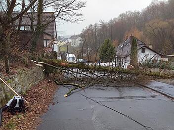 Der Bauhof hat in der Leimbachstraße einen Baum gefällt. Foto: Michael Krug