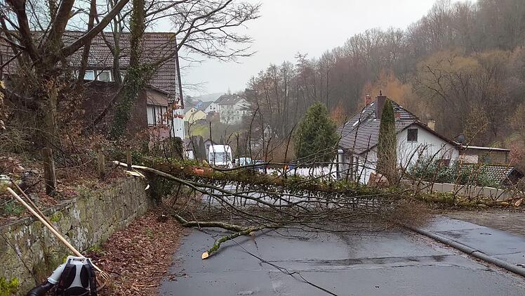 Der Bauhof hat in der Leimbachstraße einen Baum gefällt. Foto: Michael Krug