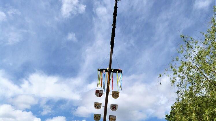 Nach 20 Minuten stand der Maibaum.