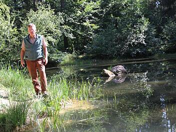 Revierförster Erich Daum am renaturierten Lampertdicken-Weiher im Staatswald in der Gemarkung Hausen, etwa zwei Kilometer oberhalb von Wimmelbach Foto: Mathias Erlwein