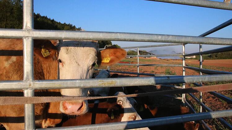 Eindrücke vom Morgen nach dem Brand. Foto: Ralf Ruppert