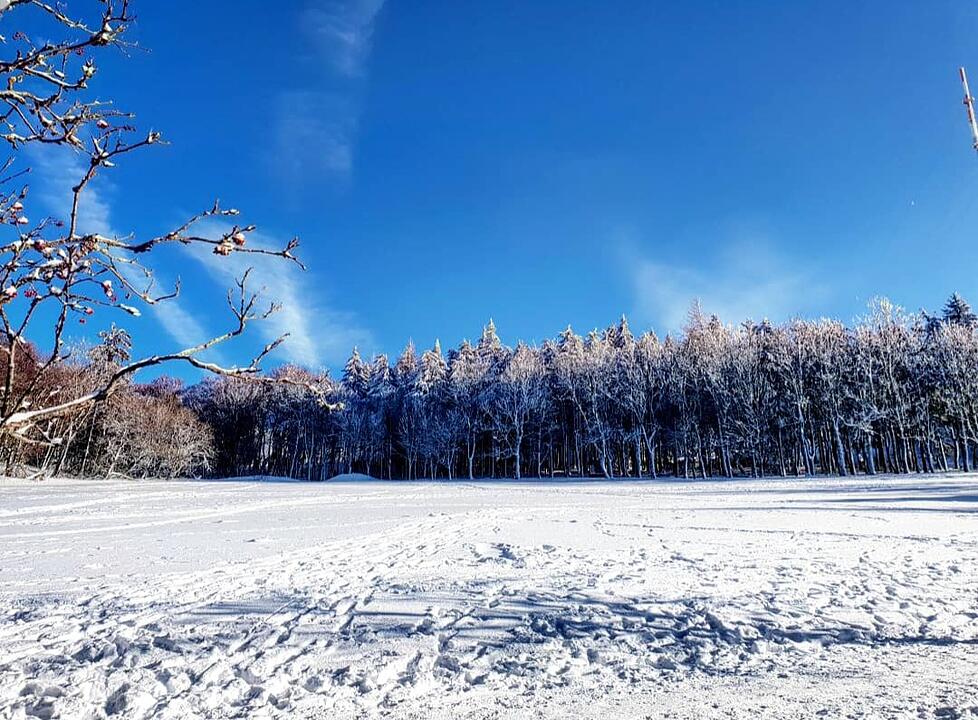Die schönsten Winterfotos aus Bad Kissingen und Umgebung
