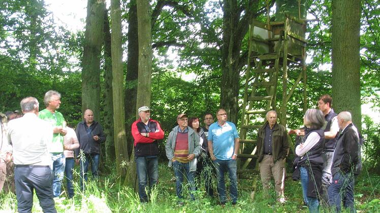 Die Gemeinderäte beim Begutachten der Waldrandgestaltung im Waldgebiet Steinpfad in Sulzthal.Hilmar Ruppert