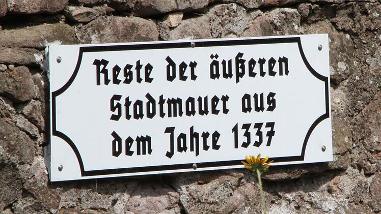 Auftakt der Unterfränkischen Kulturtage 2016 in Bad Brückenau. Foto: Ulrike Müller