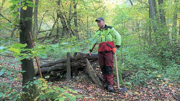 Bamberg: Illegaler Mountainbike-Trail