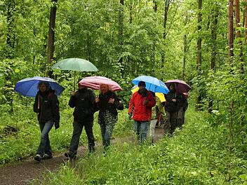 Schlechtes Wetter ist noch längst kein Grund für schlechte Laune: Regen Zuspruch fand die Leserwanderung im Rahmen der Aktivwochen. Fotos: Thomas Heuchling