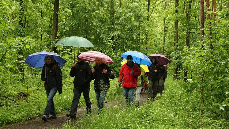 Schlechtes Wetter ist noch längst kein Grund für schlechte Laune: Regen Zuspruch fand die Leserwanderung im Rahmen der Aktivwochen. Fotos: Thomas Heuchling