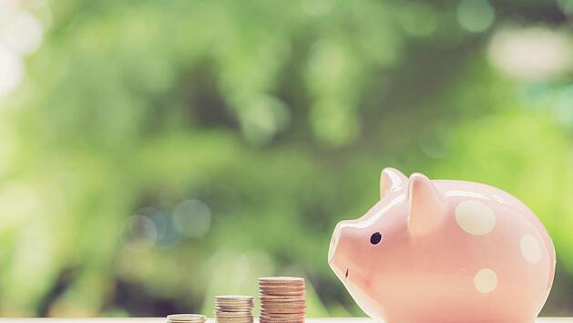 Symbolfoto: nnudoo/Adobe Stock