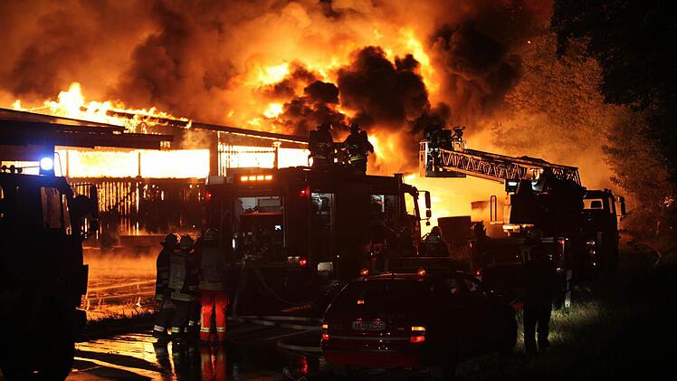 Foto: News5/Fricke