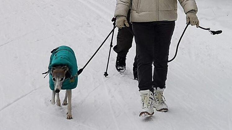 Hunde haben im Loipenpark nichts zu suchen.  Foto: Marion Eckert