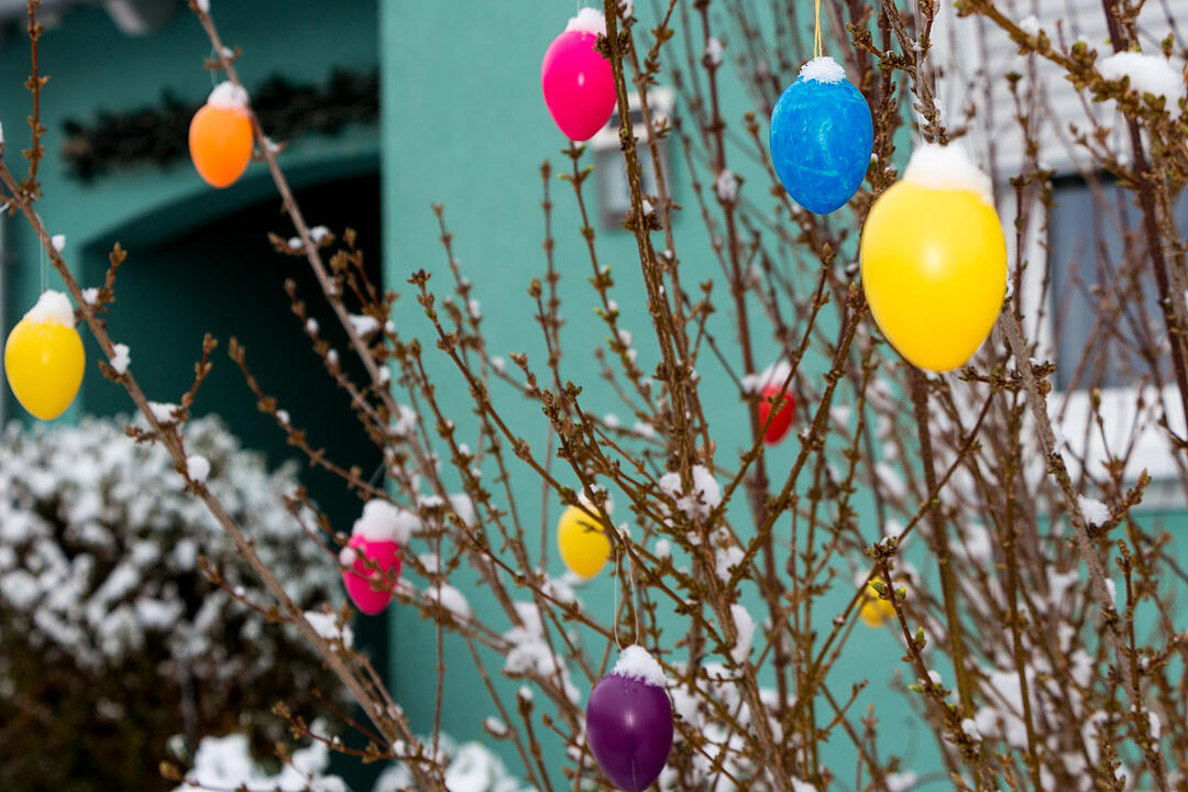 Fotos Konrad Thomann