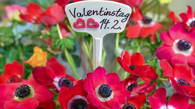 Blumen stehen heute ganz oben auf der Geschenkliste von denen, die ihre Zuneigung und Liebe vermitteln wollen. Symbolbild: Patrick Pleul