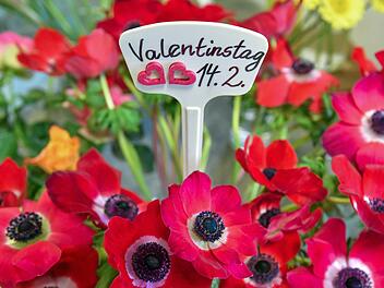 Blumen stehen heute ganz oben auf der Geschenkliste von denen, die ihre Zuneigung und Liebe vermitteln wollen. Symbolbild: Patrick Pleul