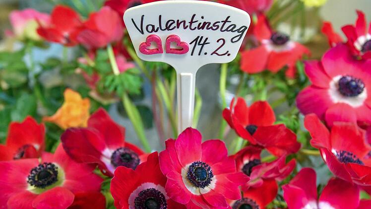 Blumen stehen heute ganz oben auf der Geschenkliste von denen, die ihre Zuneigung und Liebe vermitteln wollen. Symbolbild: Patrick Pleul