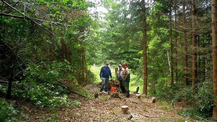 Die Pflege der Trinkwasserquellen und des umliegenden Areals wurde nach Meinung der Freien Wähler Nordhalben vernachlässigt. Im Bild: Einige Helfer, die den 20-jährigen Baumbestand auf der Zuleitungstrasse beseitigten. Foto: Michael Pöhnlein