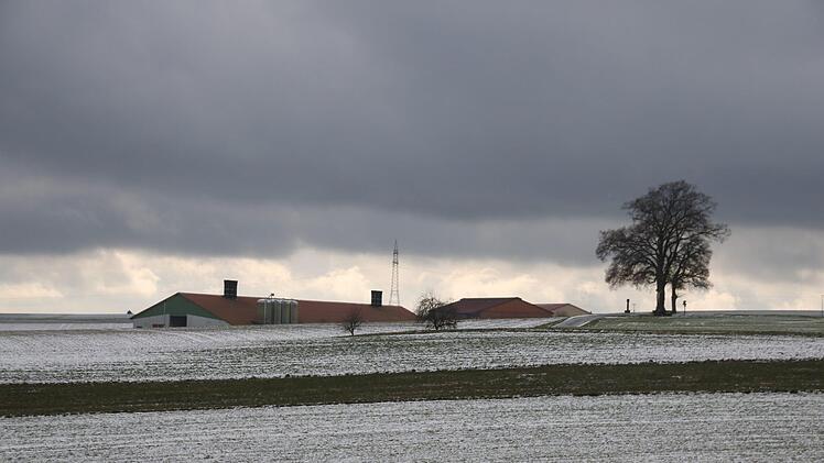 Die Familie Hagel plant, ihren Hähnchenmaststall bei Messenfeld zu erweitern.Matthias Einwag