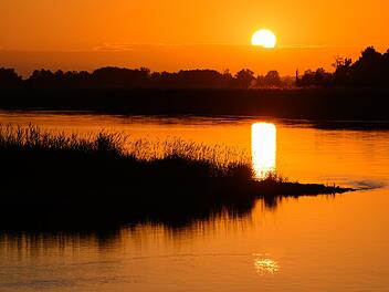 Sonnenaufgang am Fluss Oder