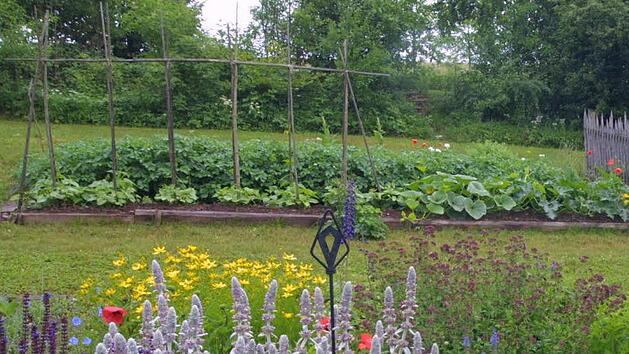 Obst und Gemüse aus dem eigenen Garten - für viele Gartenbesitzer ein Traum. Was es dabei zu beachten gilt, verrät Gartenexperte Jupp Schröder. Archivfoto: Günther Geiling