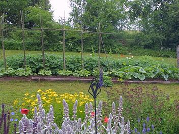Obst und Gemüse aus dem eigenen Garten - für viele Gartenbesitzer ein Traum. Was es dabei zu beachten gilt, verrät Gartenexperte Jupp Schröder. Archivfoto: Günther Geiling