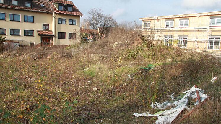 Die ehemaligen Werbeplakate für das Baugebiet "Truppachpark" liegen noch dort im Dreck, wo jetzt ein neue Wohnanlage entstehen soll. Im Hintergrund die beiden unfertigen Häuser des "Truppachparks", die unabhängig vom neuen Bauprojekt privat fertig gestellt werden. Foto: E. Roepert