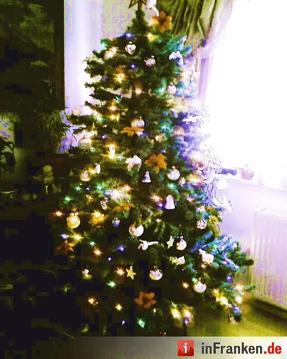 Weihnachten in Franken: Die Christbäume unserer Leser