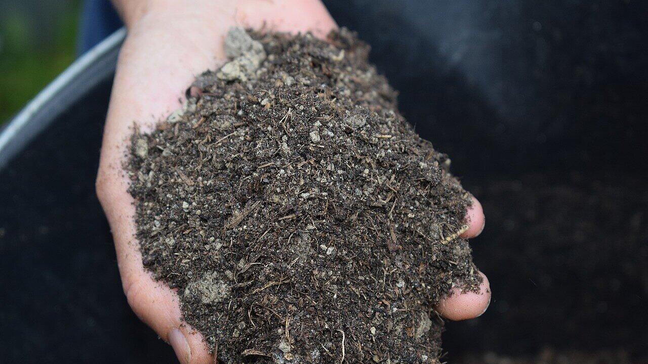 Bokashi: Mit dieser japanischen Fermentationskunst verwandelst du deine  Kchenabflle in Dnger