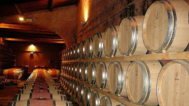 Bei der Nacht der offenen Weinkeller 2025 in W&uuml;rzburg einen Blick in die histrischen Gew&ouml;lbe der Weing&uuml;ter werfen.